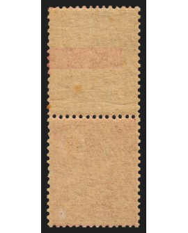 n°112, bord de feuille, Mouchon 10c rose Type I, neuf ** sans charnière - TB